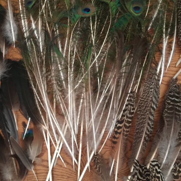 LOT 140 NATURAL PEACOCK BIRD FEATHER BOHO FESTIVAL CRAFT ART HOBBY COSTUME DECOR - Picture 8 of 16
